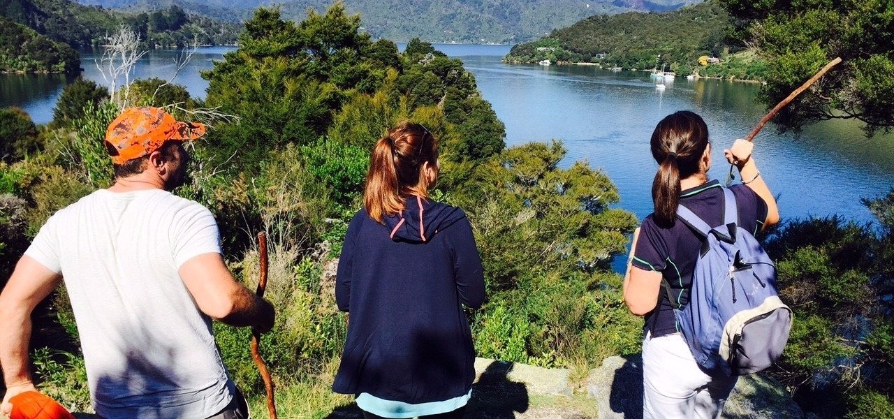 Mistletoe Bay guided walk